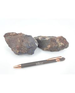 Sarkinit, Karyopilit; Harstigen, Schweden; NS