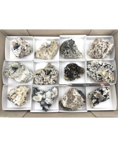 Aegirine xx, Zircon xx, Pyrochlore xx, etc. ; on matrix; Mt. Malosa, Zomba, Malawi; 1 unique flat (237)