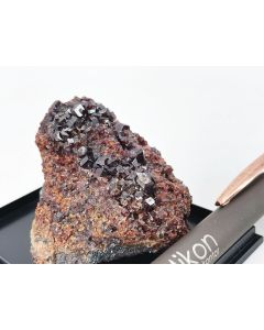 Andradit xx; N Chwaning Mine, Kalahari Manganese Field, Kuruman, Südafrika; NS