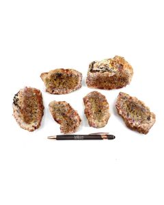 Chalcedony and moss agate, 1 lot consisting of 6 pieces, cut; Garut; Indonesia