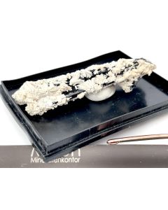 Beryll (Goshenit) xx; Erongo Mtns., Usakos, Namibia; NS