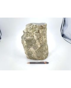 Fossil (petrified) wood with green opal; polished on one side; Garut, Java, Indonesia; Single piece 7.5 kg