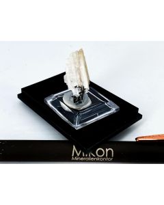 Epididymit xx; Mt. Malosa, Zomba, Malawi; KS