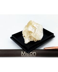 Epididymit xx; Mt. Malosa, Zomba, Malawi; KS