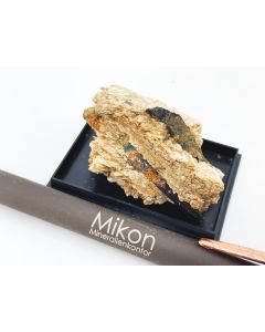 Eudidymit xx; Mt. Malosa, Zomba, Malawi; KS