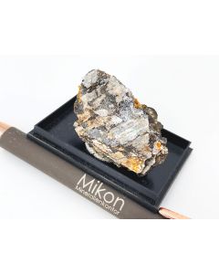 Eudidymit xx; Mt. Malosa, Zomba, Malawi; KS