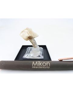 Eudidymit xx; Mt. Malosa, Zomba, Malawi; KS