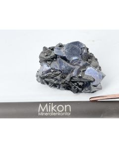 Galenit (Bleiglanz) xx; Krushov Dol Mine, Madan, Bulgarien; KS