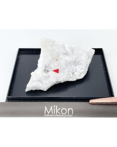 Jordanit xx; Cava Montecatini, Carrara, Italien; NS