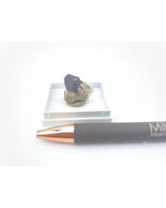 Galenit xx; Hildfeld, am Clemensberg, Deutschland; Gerd Tremmel Sammlung; MM (288)