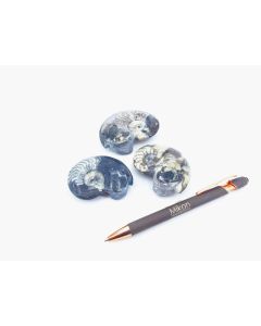 Goniatites, polished both sides, app. 6 cm, Morocco, 1 piece