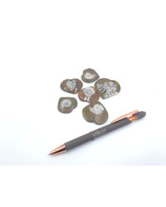 Ammoniten, Herzform, 2-4 cm mit Loch als Anhänger, 10 Stück