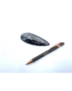 Orthoceras, 8 - 12 cm, polished, Morocco, 1 piece