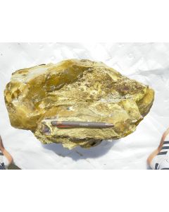 Fossil (petrified) wood with opal and chalcedony; Garut, Java, Indonesia; Single piece 39.6 kg