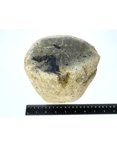 Fossil (petrified) wood with green opal; polished on one side; Garut, Java, Indonesia; Single piece 1.6 kg