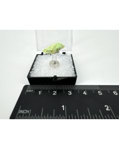 Bobcookit xx; Blue Lizard Mine, UT, USA; MM