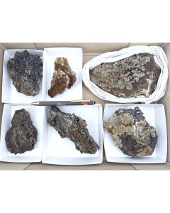 Adamite xls; UV-active; Mapimi, Mexico; 1 flat, unique piece