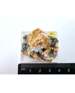 Jeremejewit (xx); Cape Cross, Namibia; KS (512)