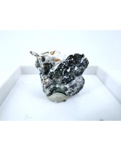 Afwillit xx; Zeilberg, Bayern, Deutschland; MM (572)