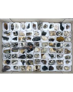 Aegirine xls, Feldspar xls, Zircon (UV) xls, Siderite xls, Smoky Quartz xls; on matrix, partly UV-active; Mt. Malosa, Zomba, Malawi; 1 unique flat (409)