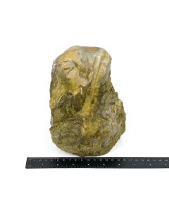 Fossil (petrified) wood with green opal; polished on one side; Garut, Java, Indonesia; 2.8 kg; single piece