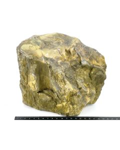 Fossil (petrified) wood with green opal; polished on one side; Garut, Java, Indonesia; 4.9 kg; single piece