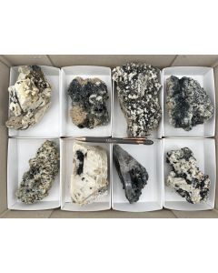 Aegirine xls, Pyrochlore xls, Zircon xls; Mt. Malosa, Zomba, Malawi; 1 unique flat (508)