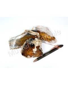 Bumble Bee Jaspis; freiförmig, beidseitig poliert; Indonesien; 1 Stück