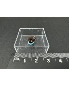 Nikischerite xx + Analyse; Huanuni Mine, Dalence Province, Oruro Dept., Bolivien; MM; Einzelstück