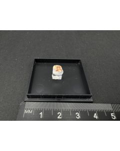 Imhofit xx, Realgar xx; Grube Lengenbach, Binntal, Wallis, Schweiz; MM; Einzelstück