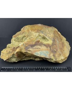 Fossilized (petrified) wood with green and yellow opal; Indonesia; 7.14 kg; single piece