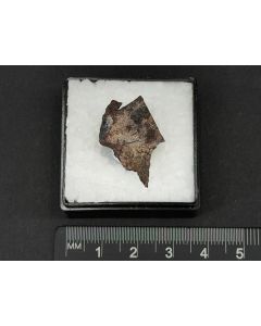 Seamanit xx; Iron Monarch Quarry, W.A., Australien; MM; Einzelstück