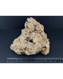 Desert Rose; Tunisia; 2.54 kg; unique piece
