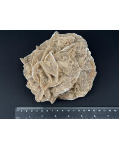 Desert Rose; Tunisia; 1.1 kg; unique piece
