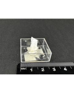 Revdit; Alluaiv, Lovozero, Kola, Rußland; MM; Einzelstück