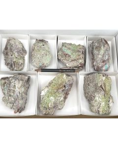 Creaseyit xx etc.; Tiger, Pinal Co., AZ, USA; 1 Steige; Unikat (39)