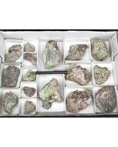 Creaseyit xx etc.; Tiger, Pinal Co., AZ, USA; 1 Steige; Unikat (40)