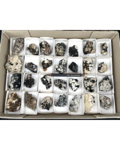 Aegirine xx, Zircon xx, Pyrochlore xx; on matrix; Mt. Malosa, Zomba, Malawi; 1unique  flat