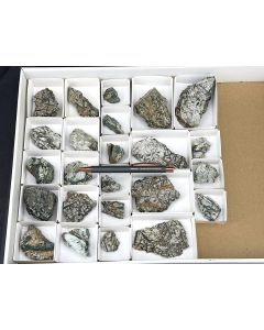 Chrom-Aktinolit, Granat (xx); Wannigletscher, Binntal, Schweiz; 1 Partie mit 24 Stück; Unikat