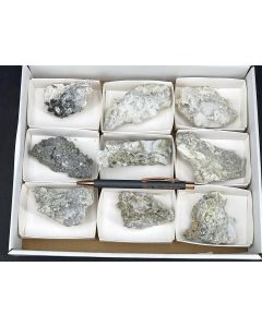 Nifontovit xx; Charcas, Mexiko; 1 Halbformatsteige; Unikat 