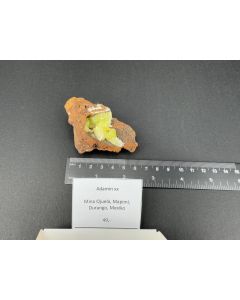 Adamite xls; Mina Ojuela, Durango, Mexico; Scab; unique piece