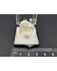 Amblygonit X; Linopolis, Minas Gerais, Brasilien; MM; Einzelstück