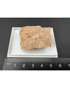 Ancylit - (Ce) (xx); Dark Star Claim, MT, USA; KS; Einzelstück