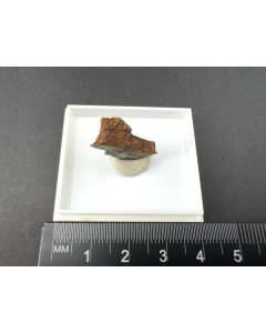 Ammoniojarosit xx; Kalwang, Österreich; MM; Einzelstück