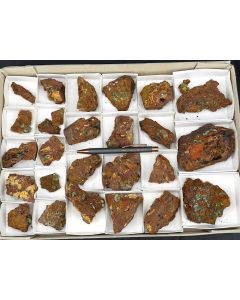 Austinit xx; Mapimi, Mexiko; 1 Steige; Unikat 