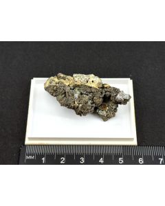 Allargentum xx; Hartenstein, Sachsen, Deutschland; KS; Einzelstück