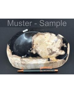 Fossiles (versteinertes) Holz; Schale; poliert; Sumatra, Indonesien; 1 Stück