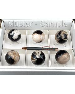 Fossilized (petrified) wood; sphere; polished; Sumatra, Indonesia; 6 pieces with ball stand