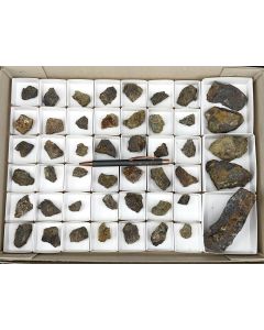 Arsendescloizite xls; C+B Vanadium Mine, Arizona, USA; 1 flat; unique
