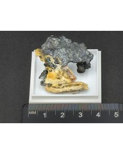 Arsenpolybasite xls (Top!); Medenec, Czech Republic; TN; unique piece
